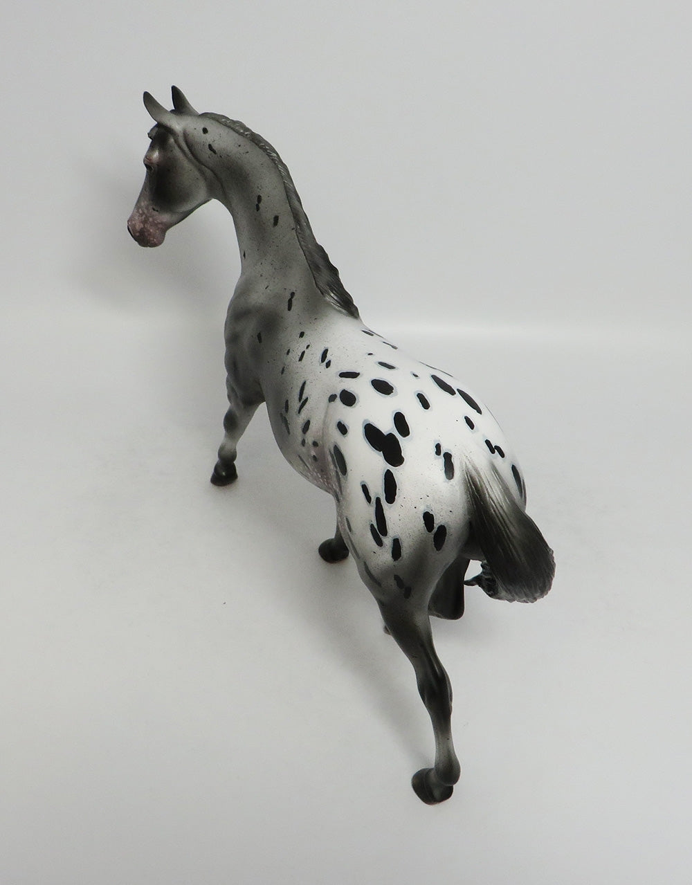URIAH-OOAK APPALOOSA PONY MODEL HORSE 8/3/18