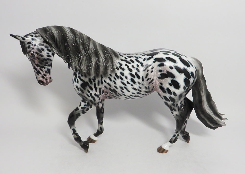 VAN FLEET-OOAK APPALOOSA THOROUGHBRED MODEL HORSE BY AUDREY DIXON 8/3/18