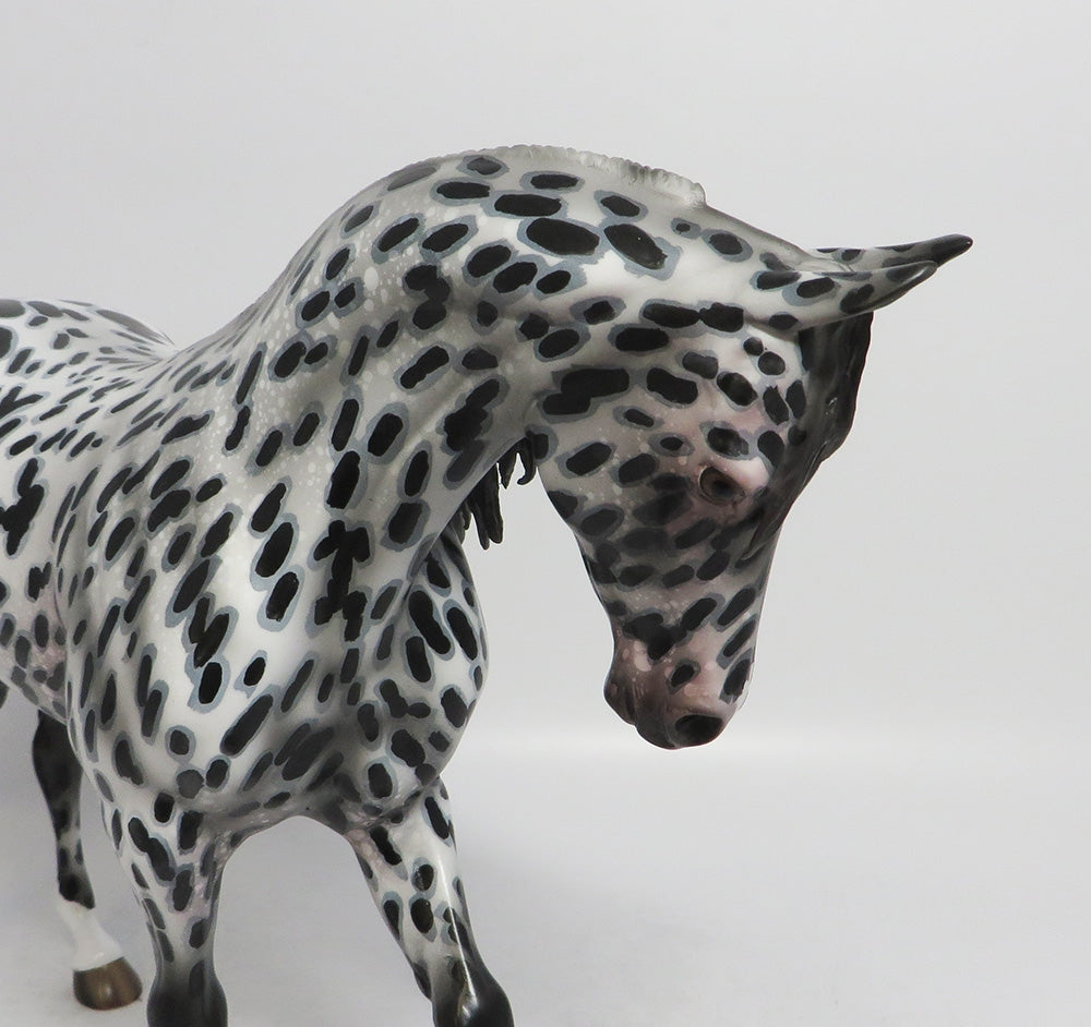 APPALOOSA