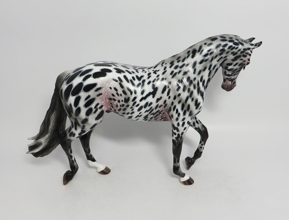VAN FLEET-OOAK APPALOOSA THOROUGHBRED MODEL HORSE BY AUDREY DIXON 8/3/18