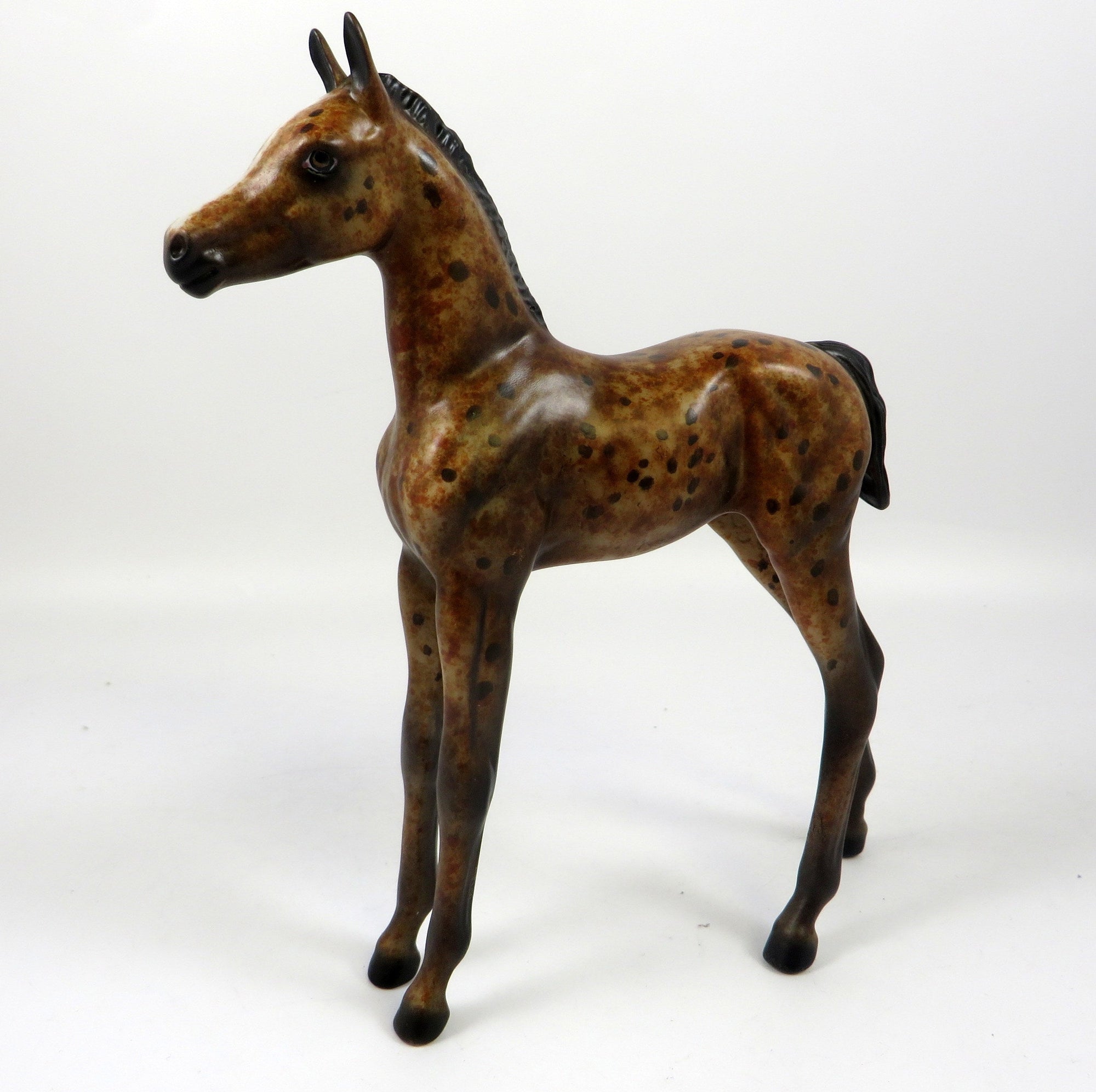 ENGLISH TOFFEE-OOAK LOUD BAY APPALOOSA FOAL BY AL 8/28/19