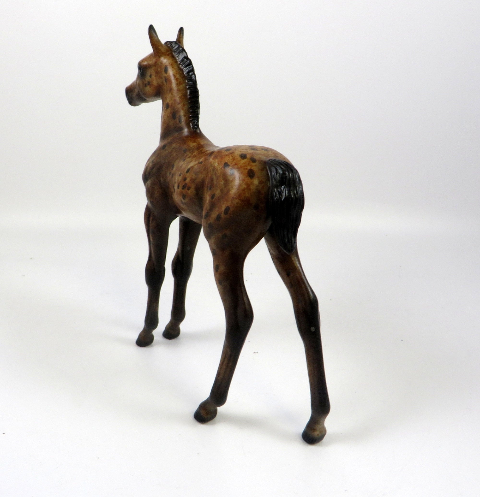 BAY FOAL