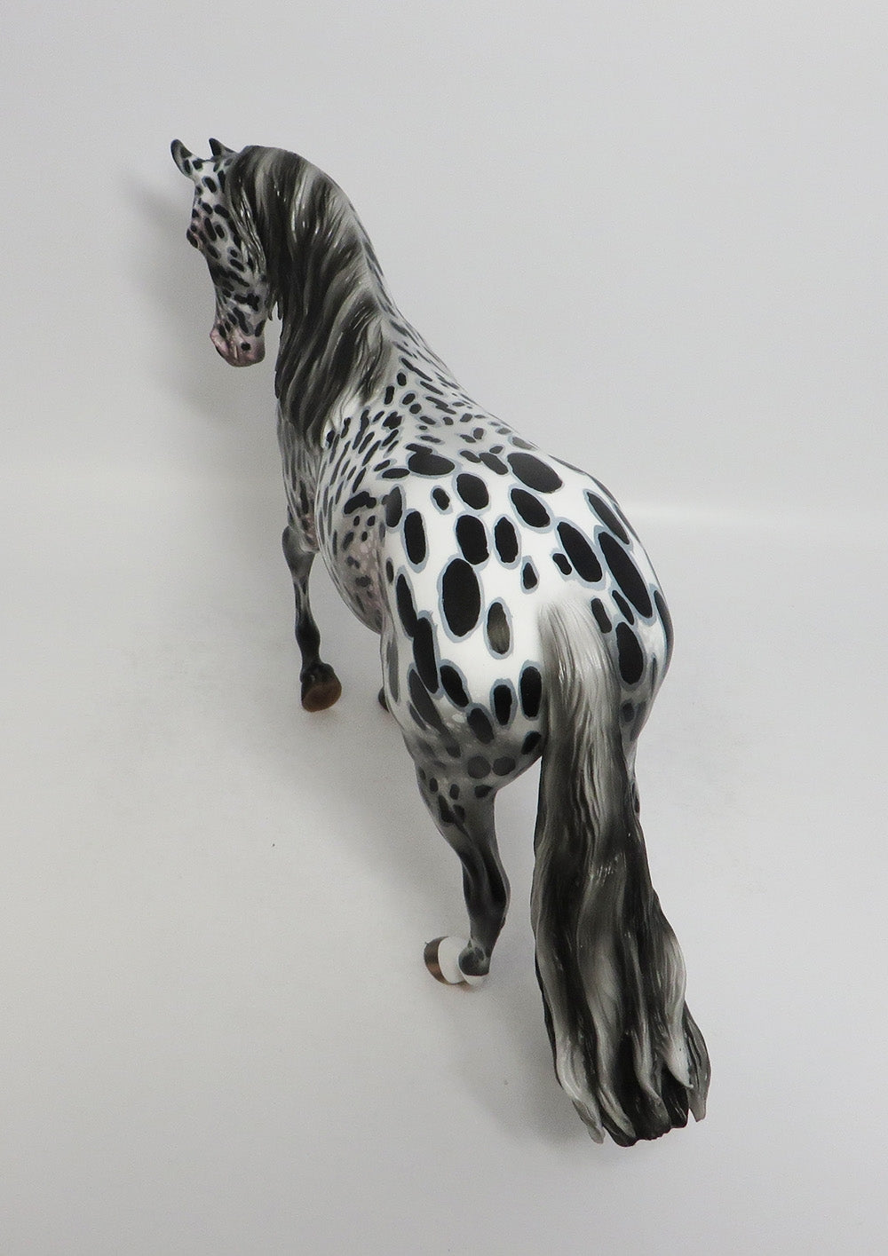 VAN FLEET-OOAK APPALOOSA THOROUGHBRED MODEL HORSE BY AUDREY DIXON 8/3/18