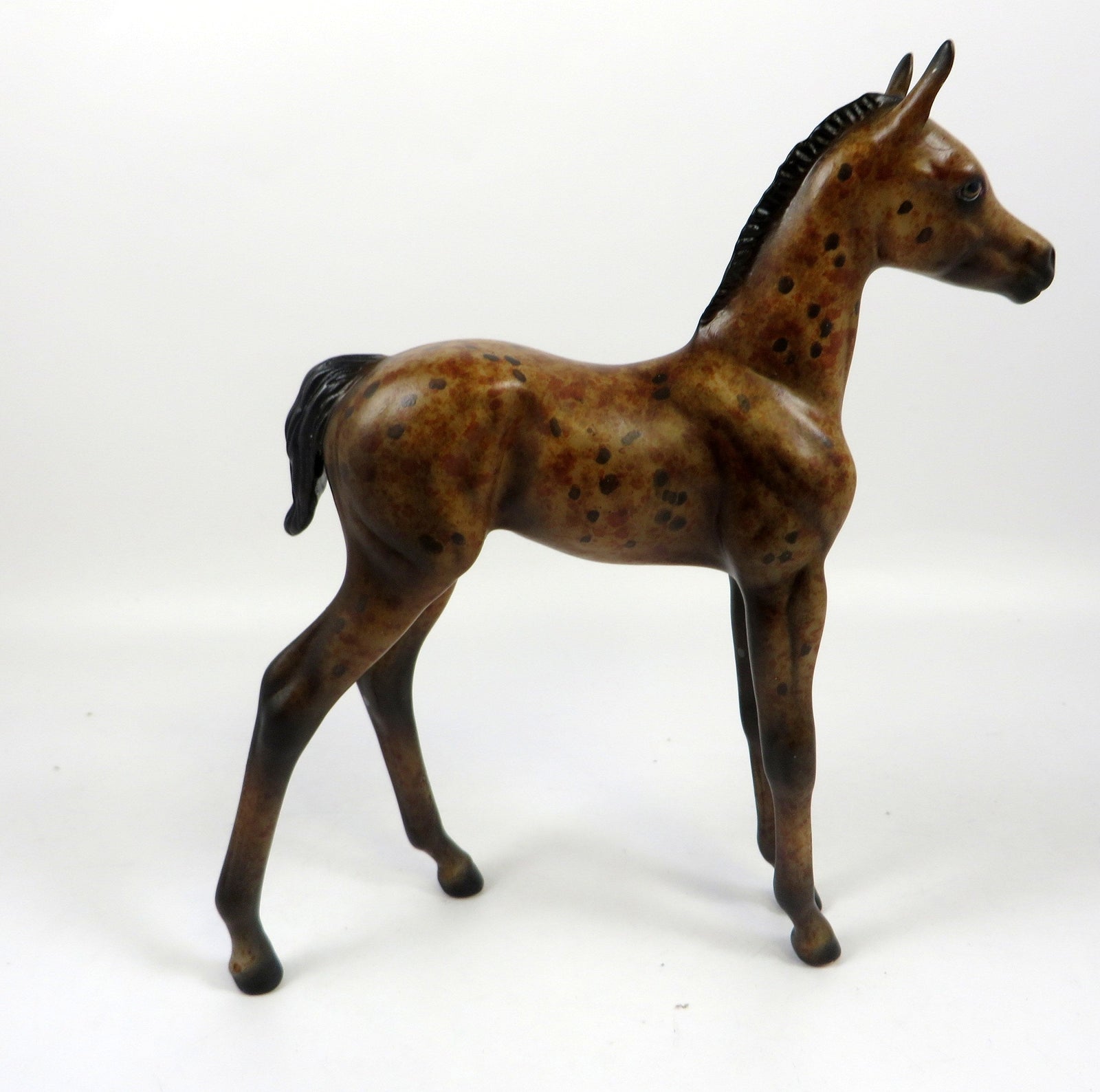 ENGLISH TOFFEE-OOAK LOUD BAY APPALOOSA FOAL BY AL 8/28/19