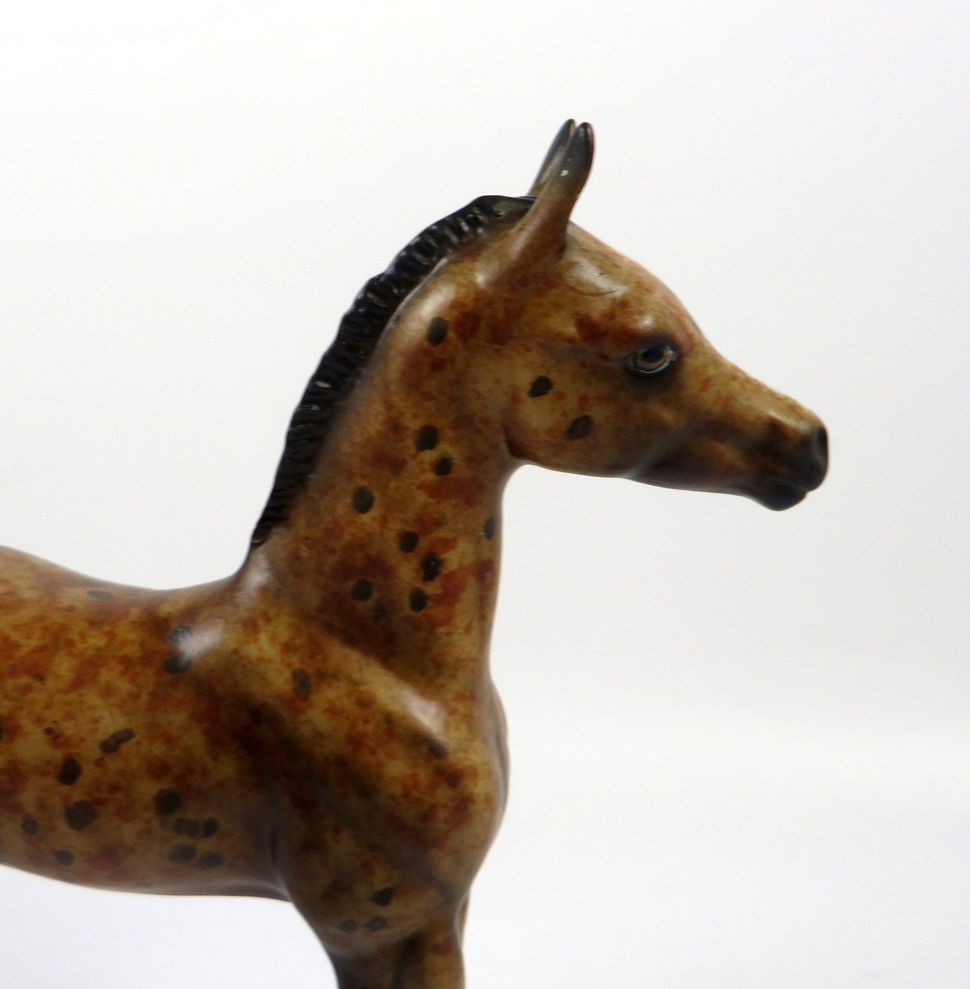 ENGLISH TOFFEE-OOAK LOUD BAY APPALOOSA FOAL BY AL 8/28/19