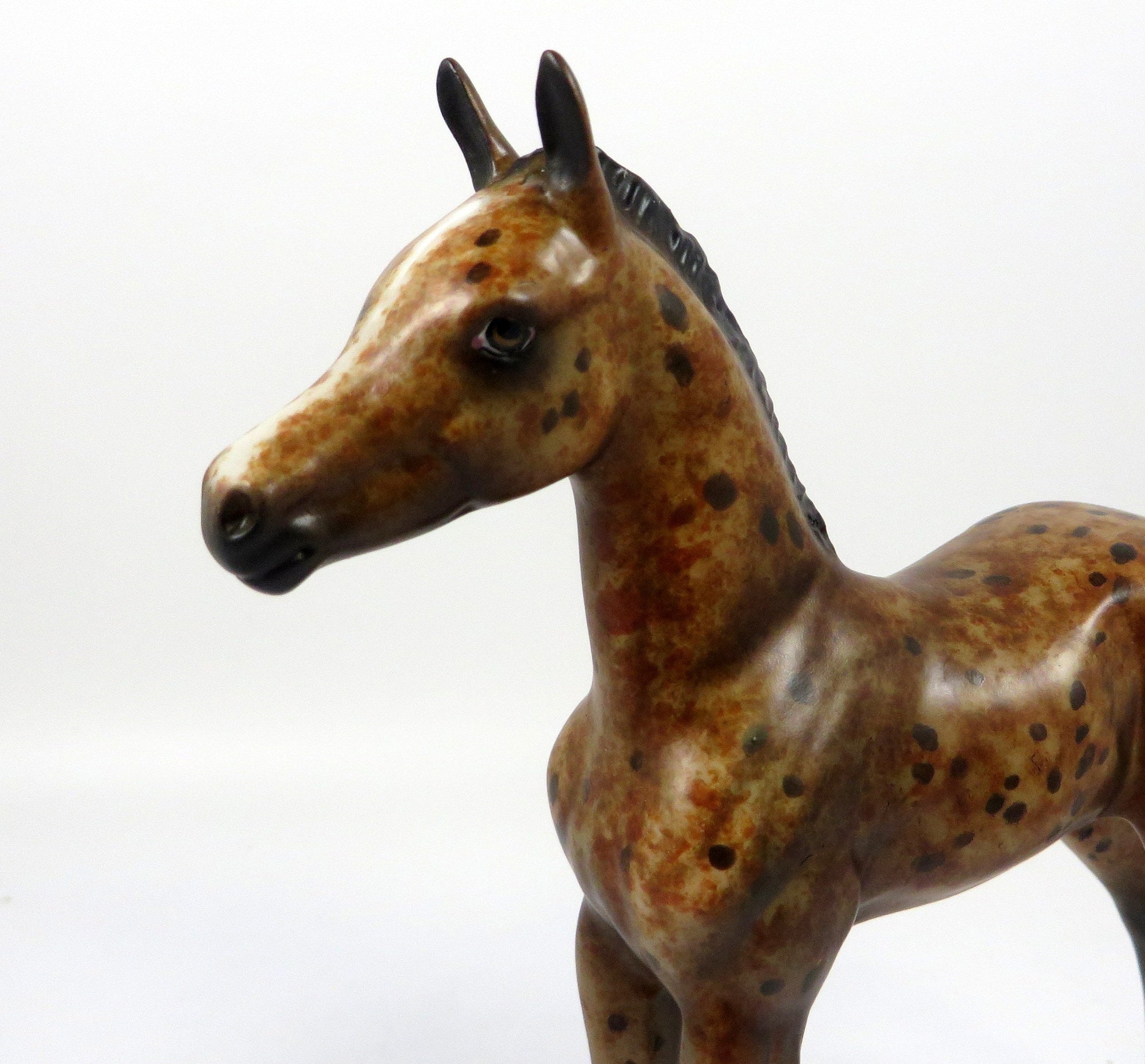 ENGLISH TOFFEE-OOAK LOUD BAY APPALOOSA FOAL BY AL 8/28/19