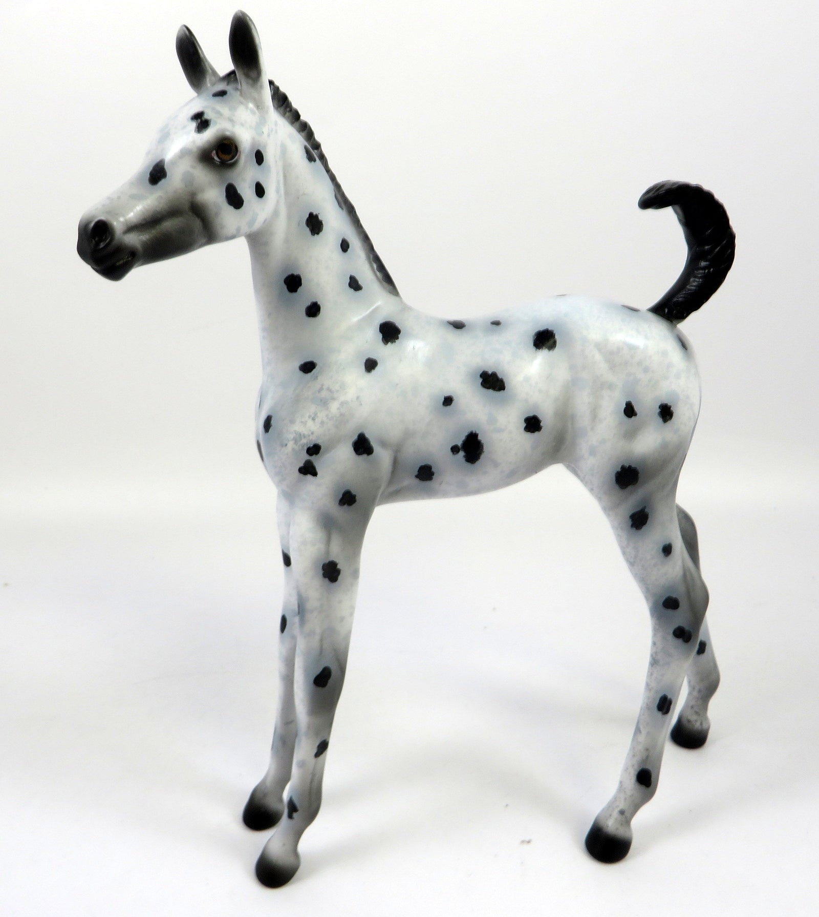 MINT CHOCOLATE CHIP-OOAK LOUD APPALOOSA FOAL BY AL 8/28/19