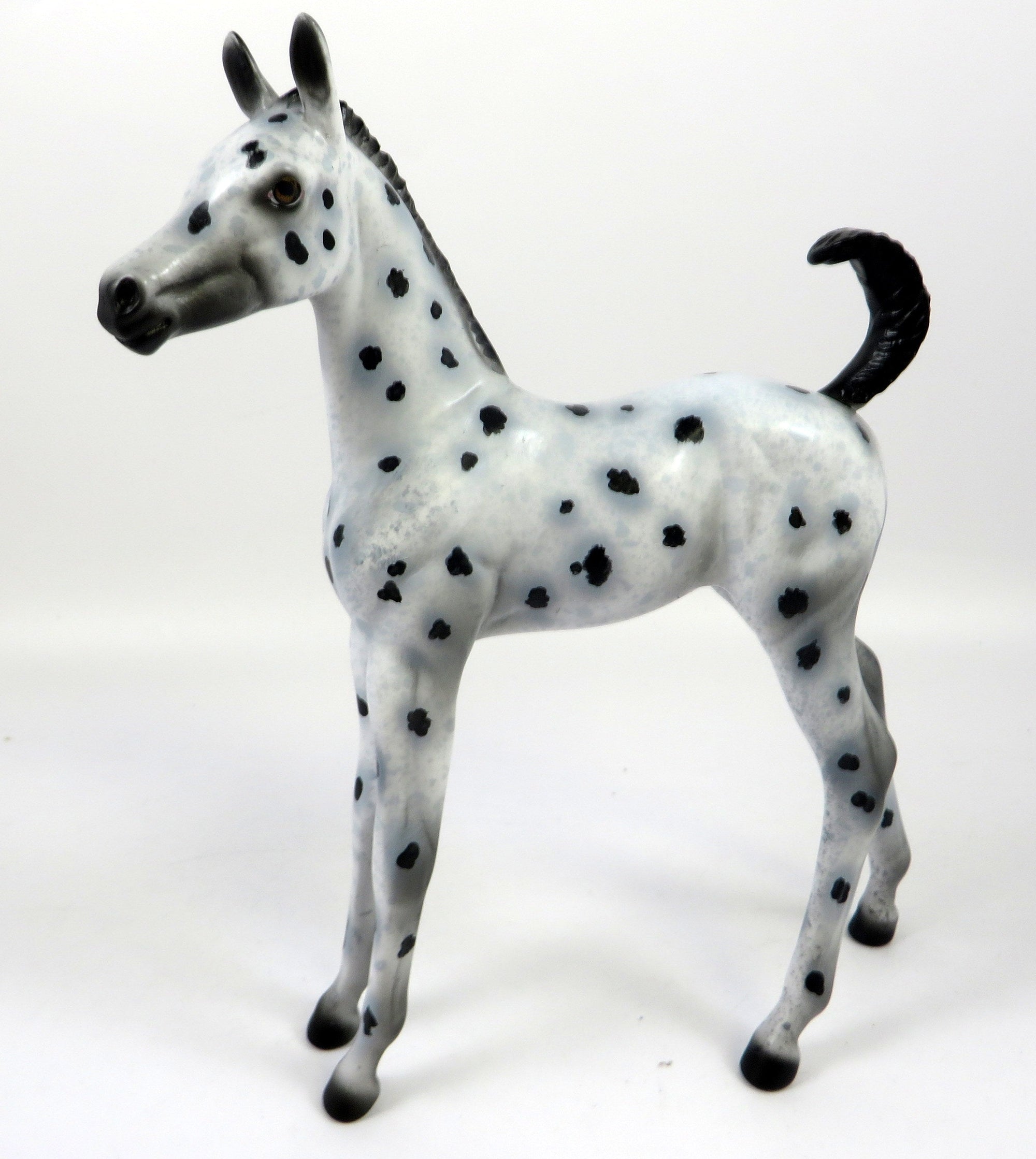 MINT CHOCOLATE CHIP-OOAK LOUD APPALOOSA FOAL BY AL 8/28/19