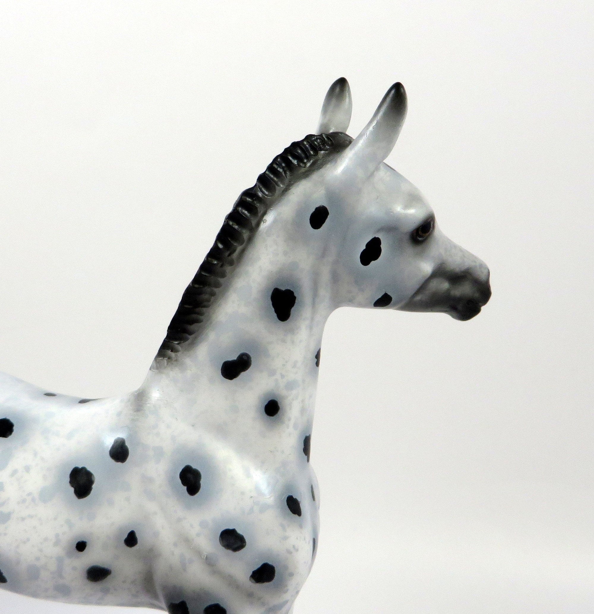 MINT CHOCOLATE CHIP-OOAK LOUD APPALOOSA FOAL BY AL 8/28/19