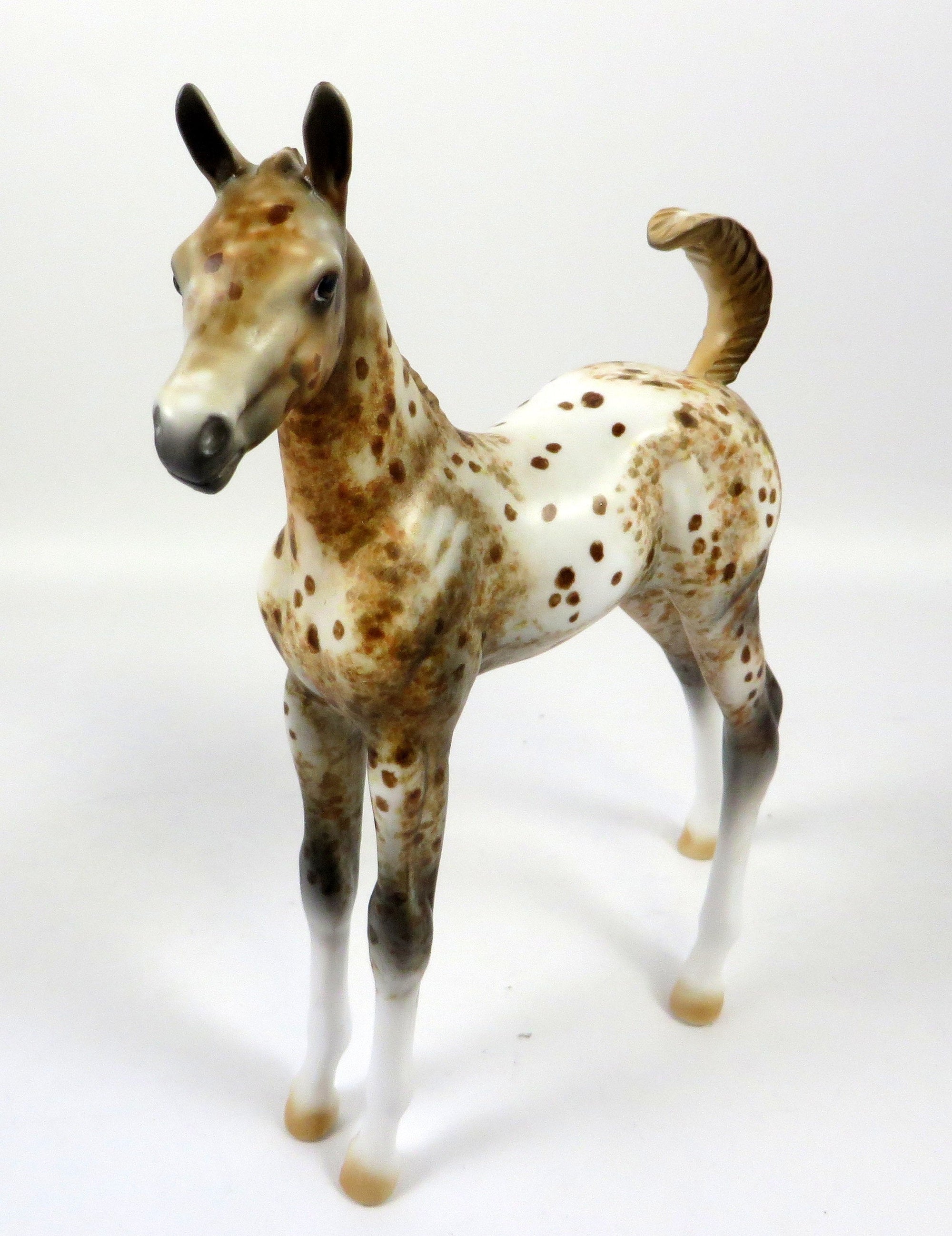 ROCKY ROAD-OOAK LOUD CHESTNUT APPALOOSA FOAL MODEL HORSE 8/28/19