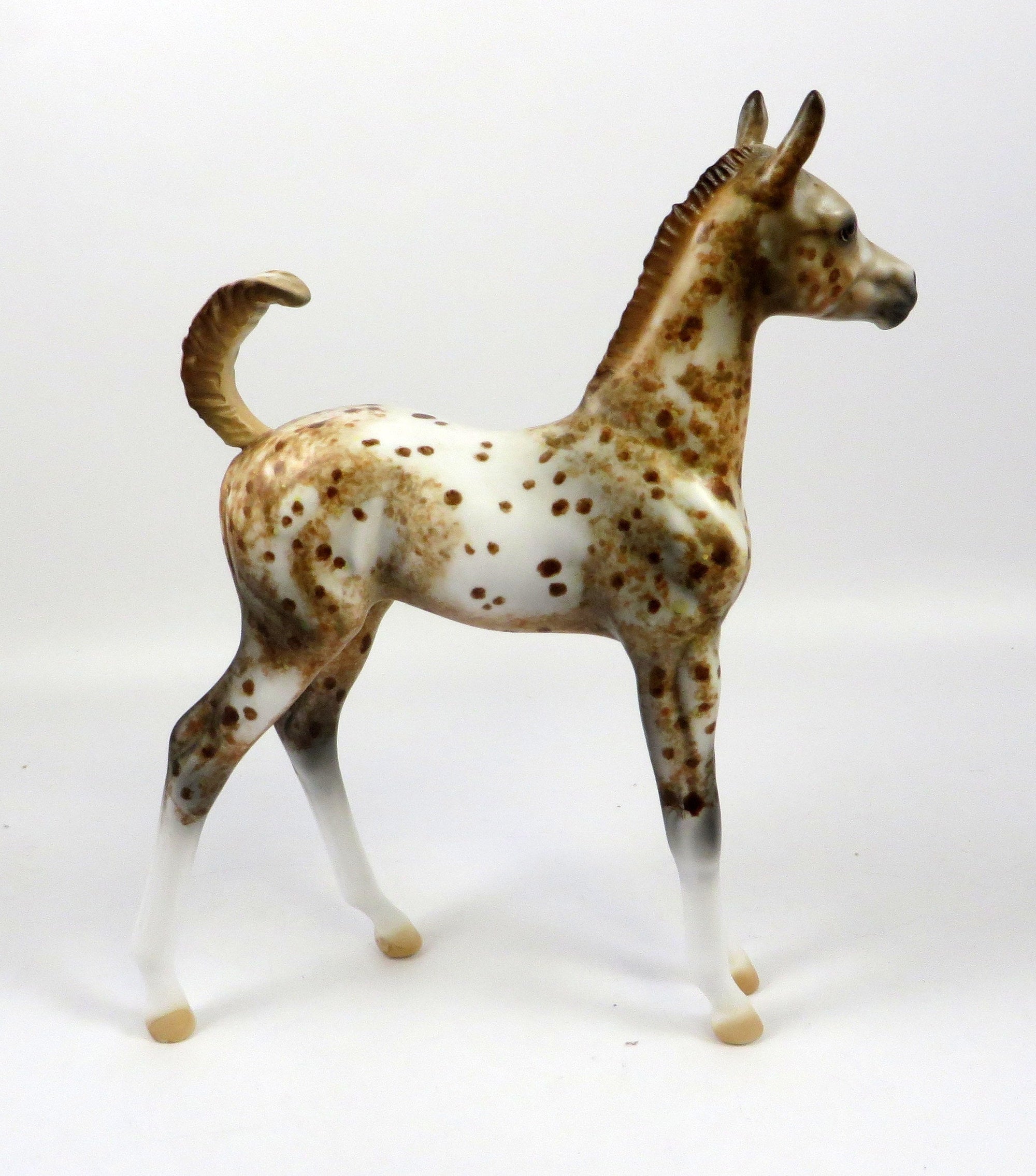 ROCKY ROAD-OOAK LOUD CHESTNUT APPALOOSA FOAL MODEL HORSE 8/28/19