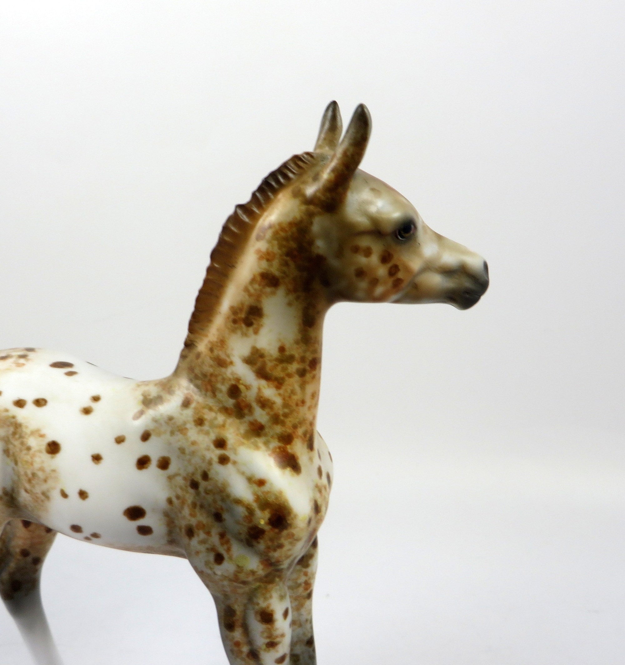 ROCKY ROAD-OOAK LOUD CHESTNUT APPALOOSA FOAL MODEL HORSE 8/28/19