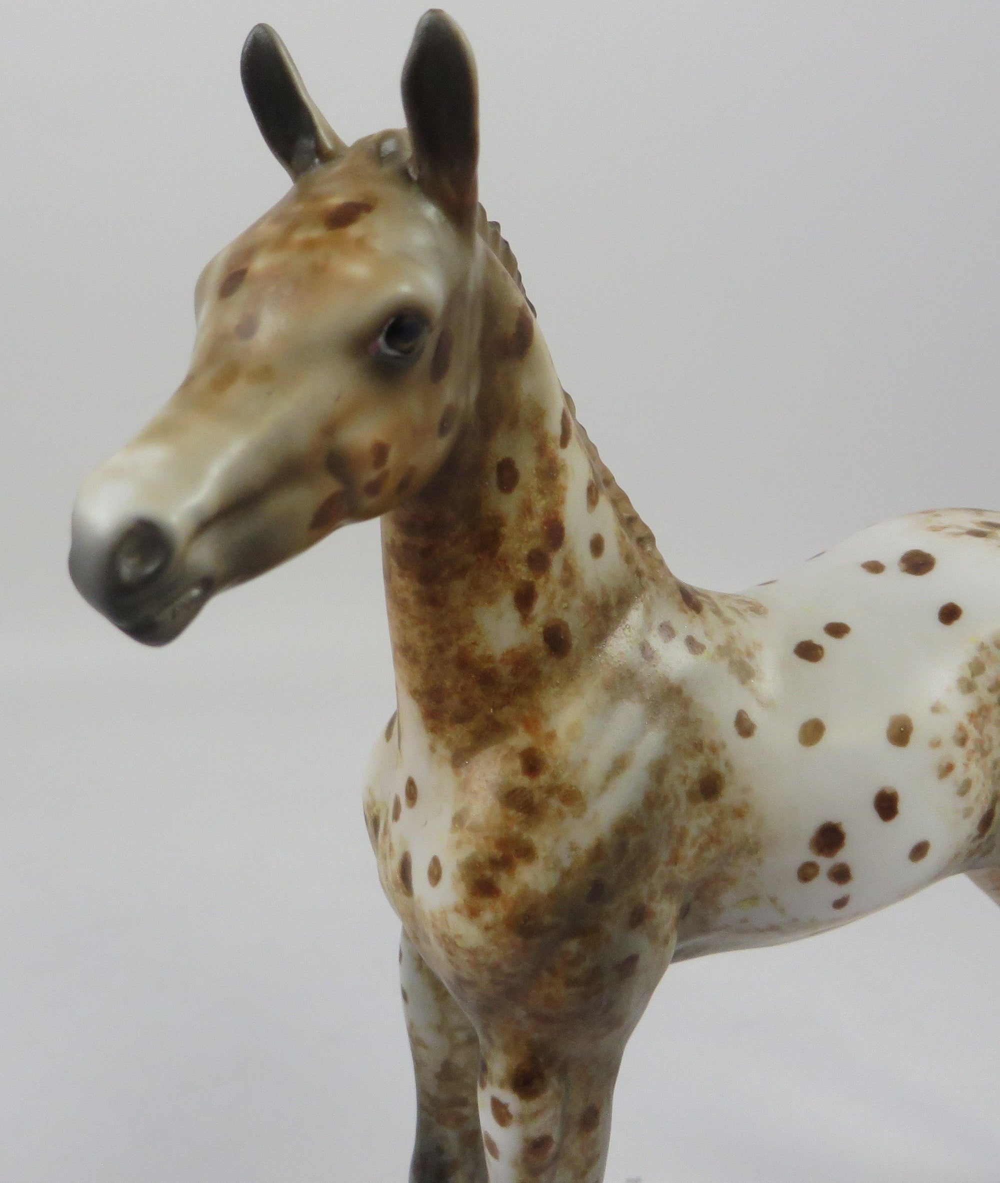 ROCKY ROAD-OOAK LOUD CHESTNUT APPALOOSA FOAL MODEL HORSE 8/28/19