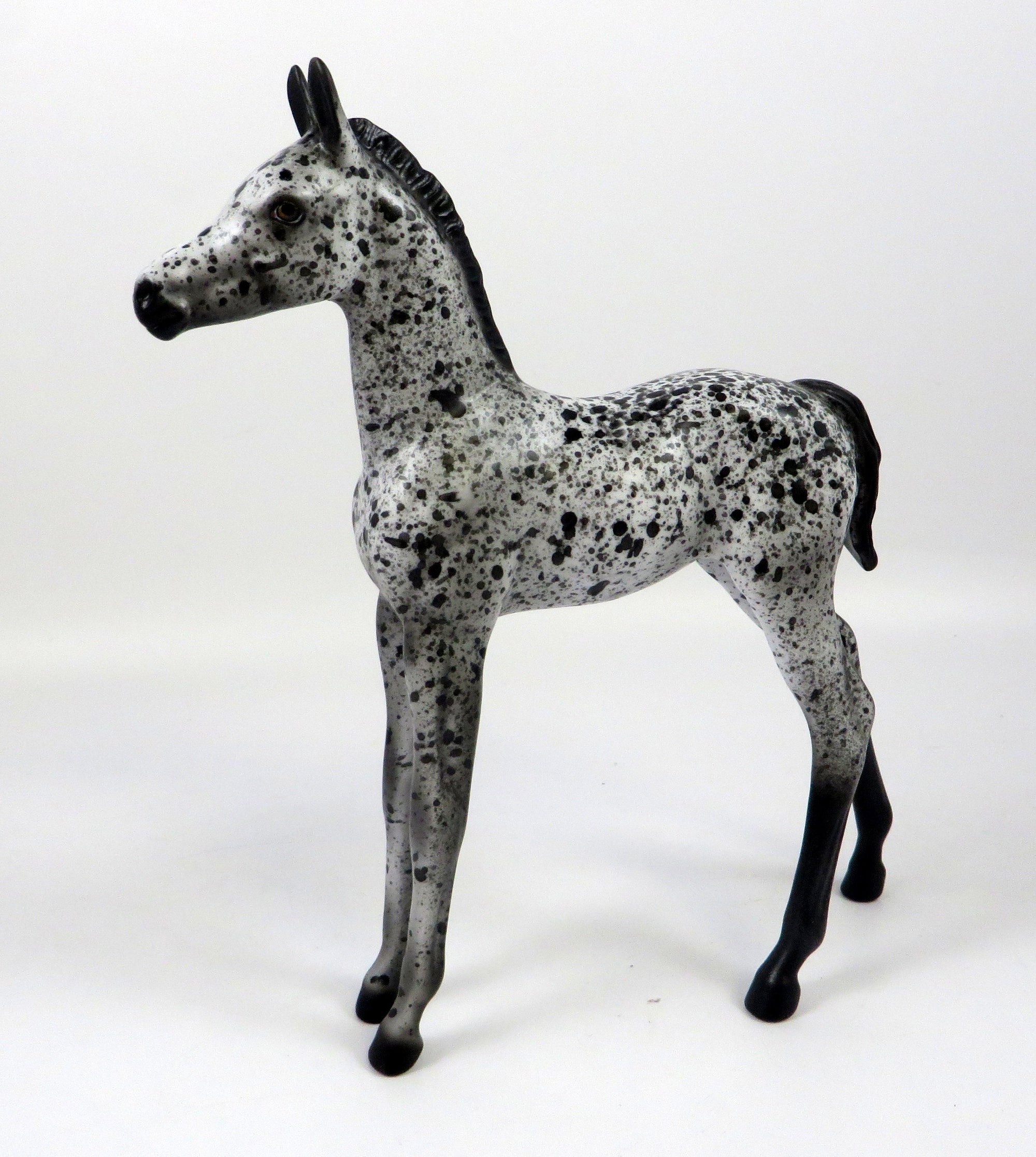 HAAGAN DAZ-OOAK LOUD APPALOOSA FOAL MODEL HORSE 8/28/19