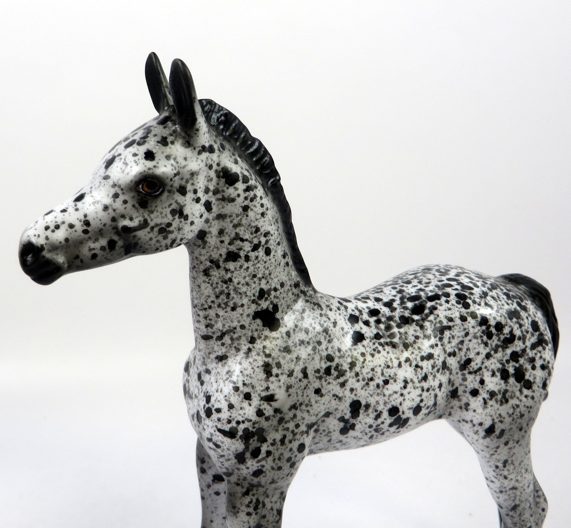 HAAGAN DAZ-OOAK LOUD APPALOOSA FOAL MODEL HORSE 8/28/19