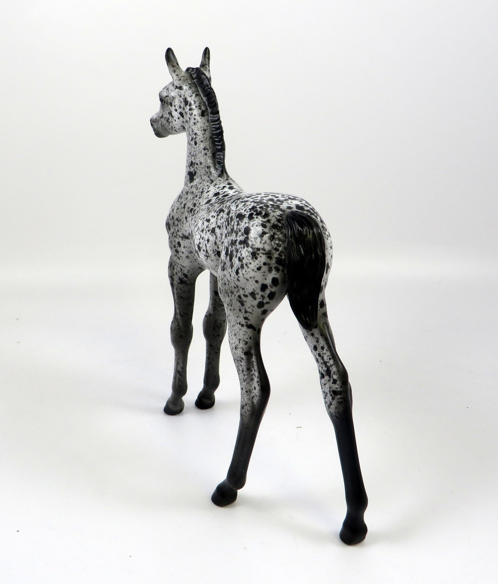 HAAGAN DAZ-OOAK LOUD APPALOOSA FOAL MODEL HORSE 8/28/19