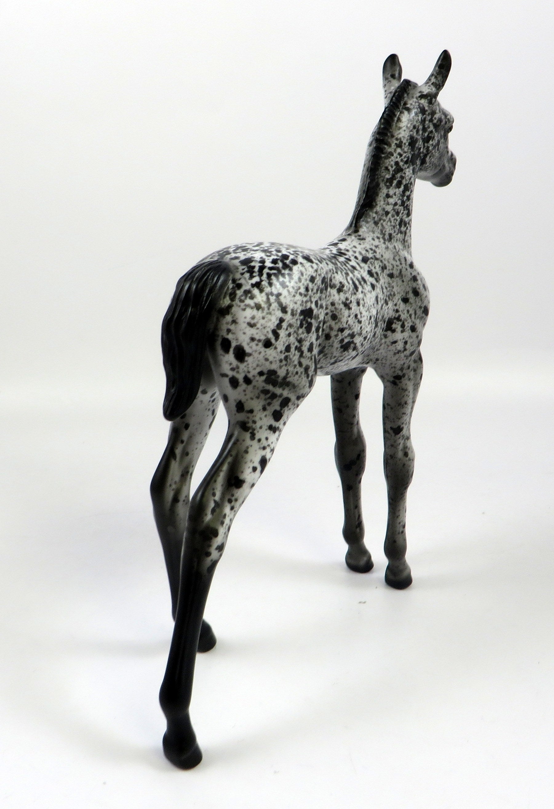 HAAGAN DAZ-OOAK LOUD APPALOOSA FOAL MODEL HORSE 8/28/19