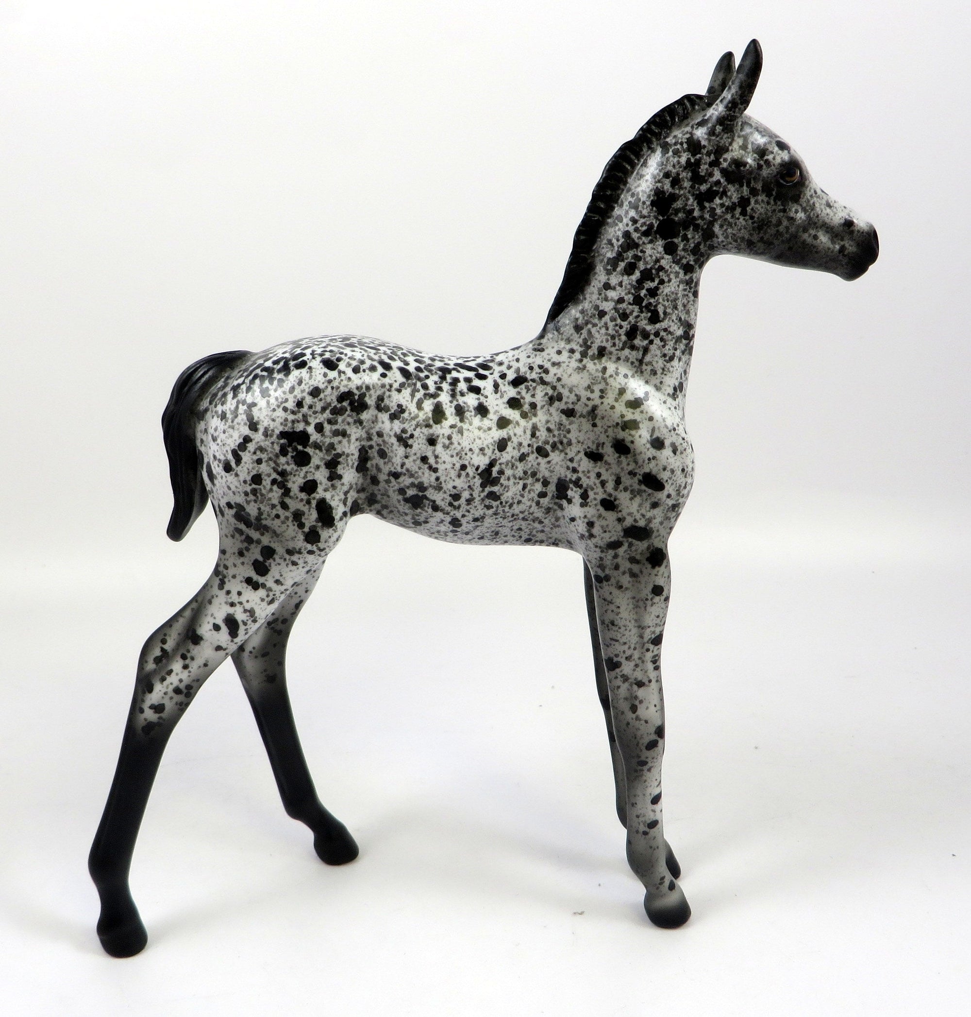 HAAGAN DAZ-OOAK LOUD APPALOOSA FOAL MODEL HORSE 8/28/19