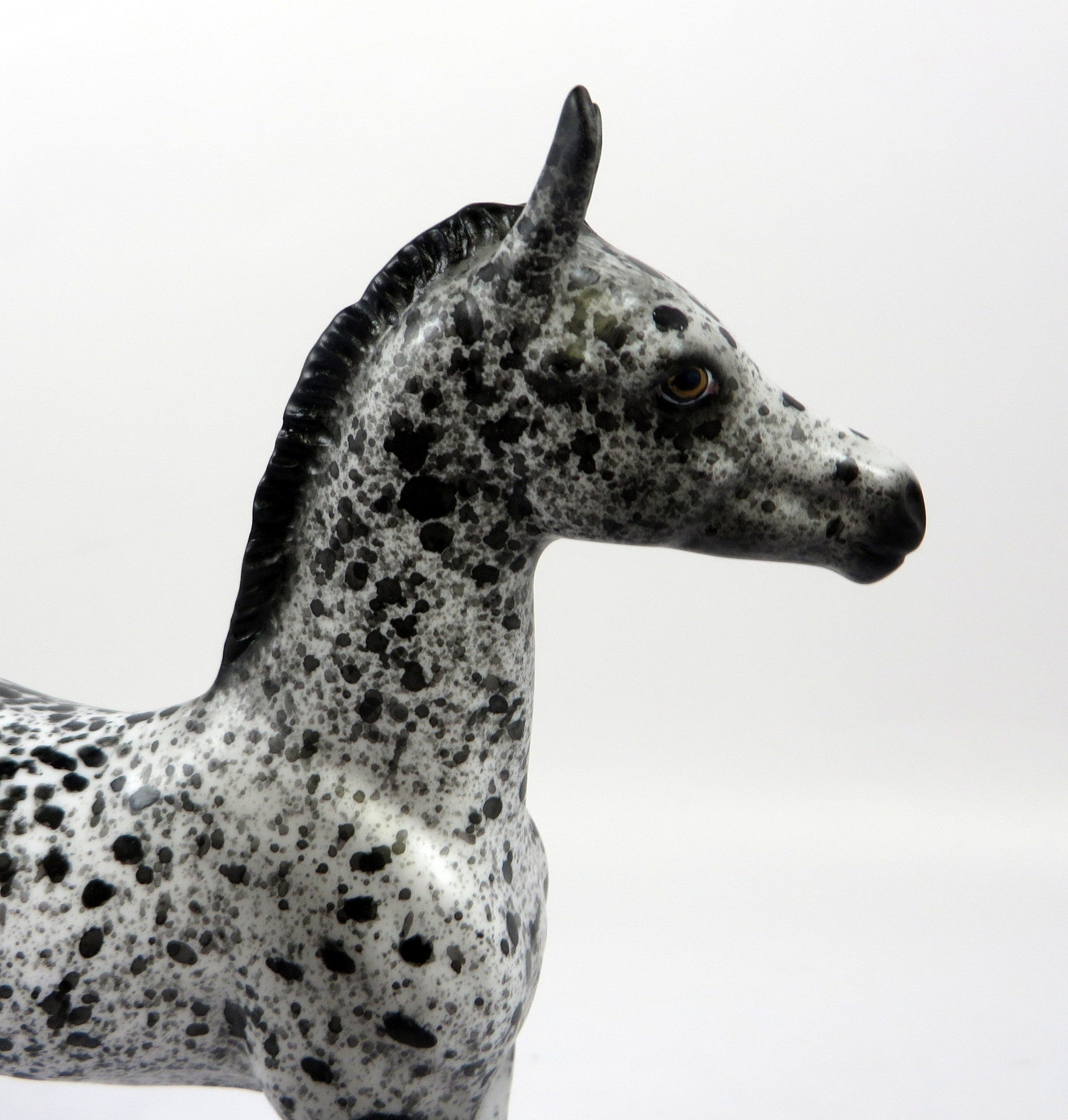 HAAGAN DAZ-OOAK LOUD APPALOOSA FOAL MODEL HORSE 8/28/19