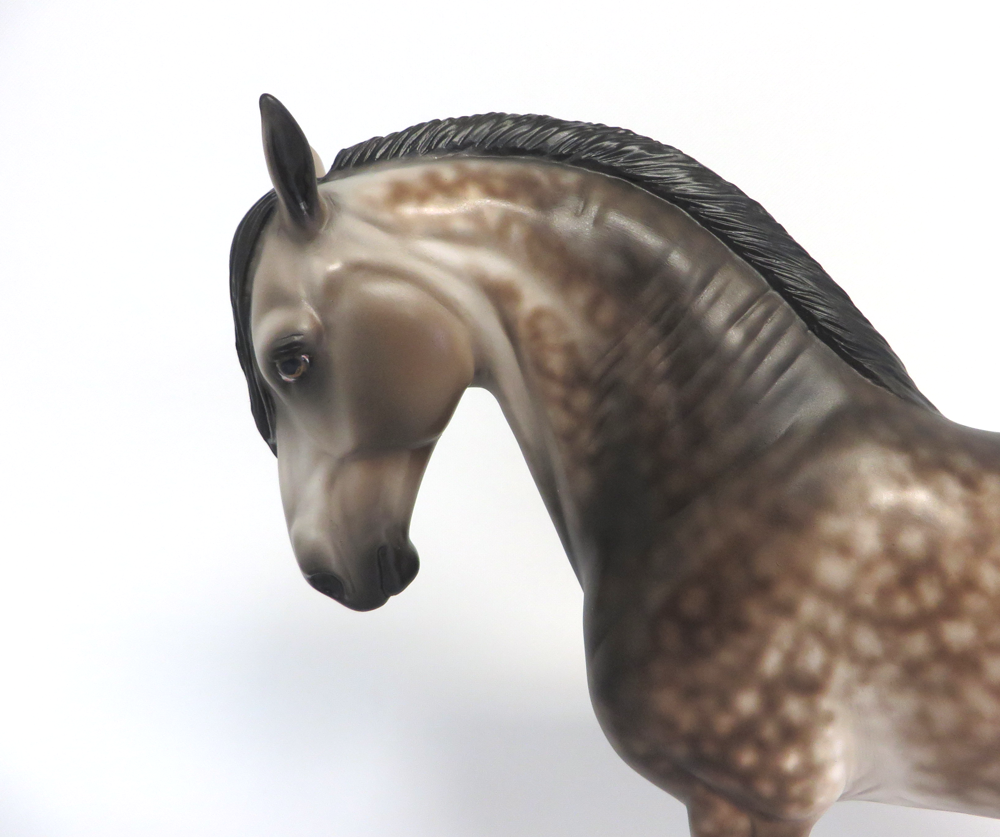 SLIPPIN INTO DARKENESS-OOAK DAPPLE BUCKSKIN ANDALUSIAN MODELHORSE MW19