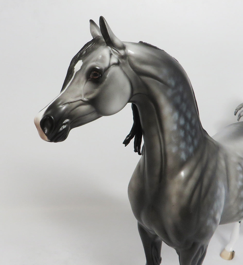JETHRO-OOAK STAR DAPPLE GREY ARABIAN MODEL HORSE BY DAWN QUICK 8/3/18