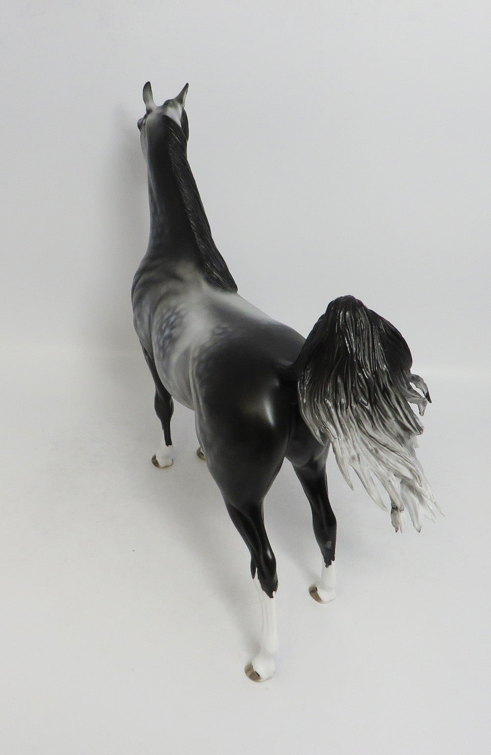 JETHRO-OOAK STAR DAPPLE GREY ARABIAN MODEL HORSE BY DAWN QUICK 8/3/18