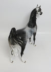 JETHRO-OOAK STAR DAPPLE GREY ARABIAN MODEL HORSE BY DAWN QUICK 8/3/18
