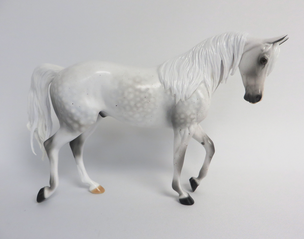 MOONLIGHT CACTUS-LE-13 DAPPLE FLEABIT GREY THOROUGHBRED MODEL HORSE EA/MW 19