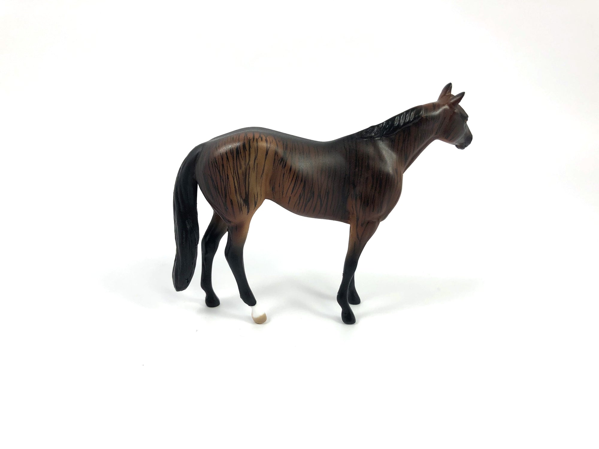 ROYAL STEWART-OOAK BRINDLE STOCK HORSE CHIP SHCF19