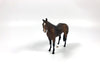 ROYAL STEWART-OOAK BRINDLE STOCK HORSE CHIP SHCF19