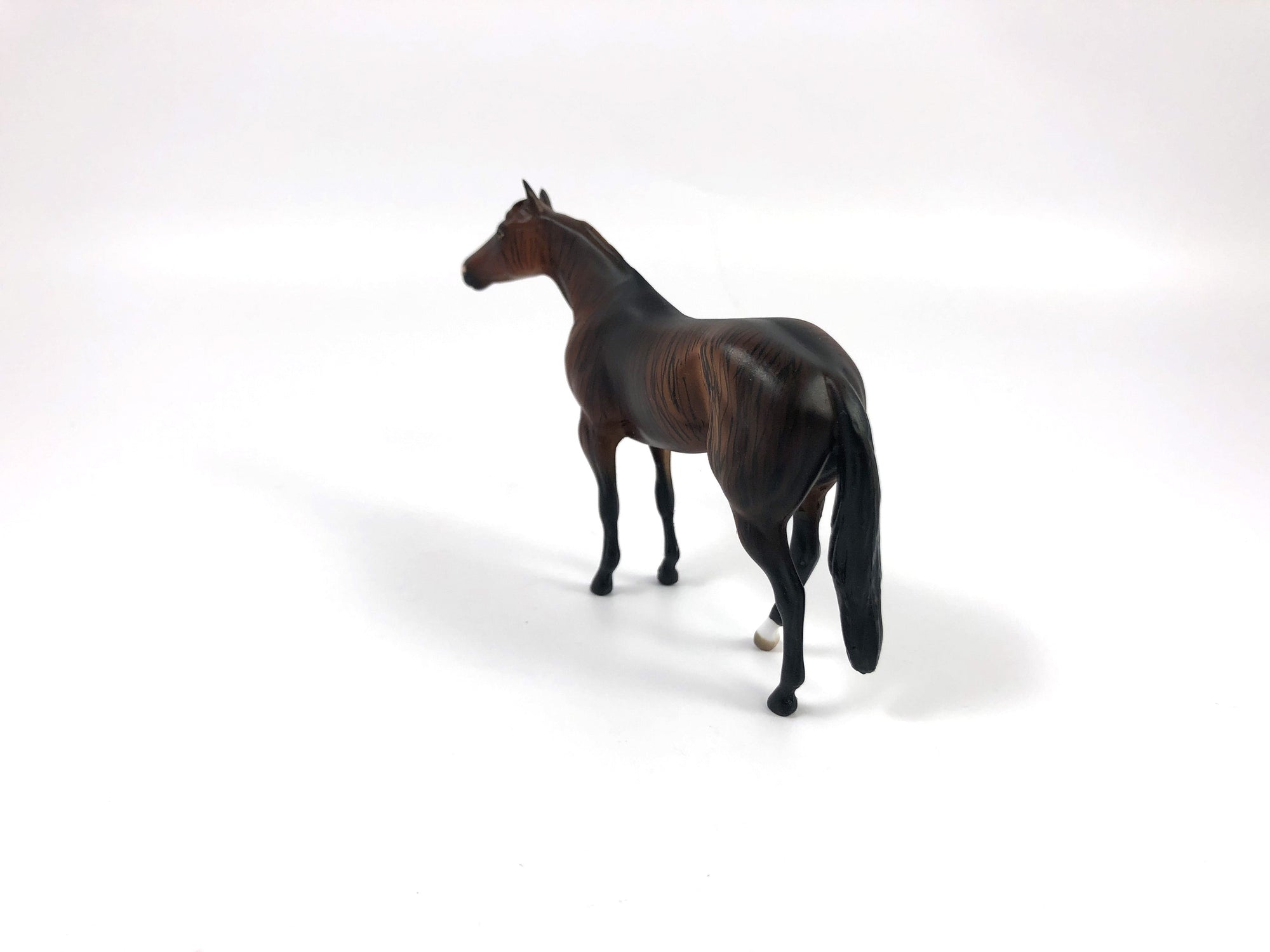 ROYAL STEWART-OOAK BRINDLE STOCK HORSE CHIP SHCF19