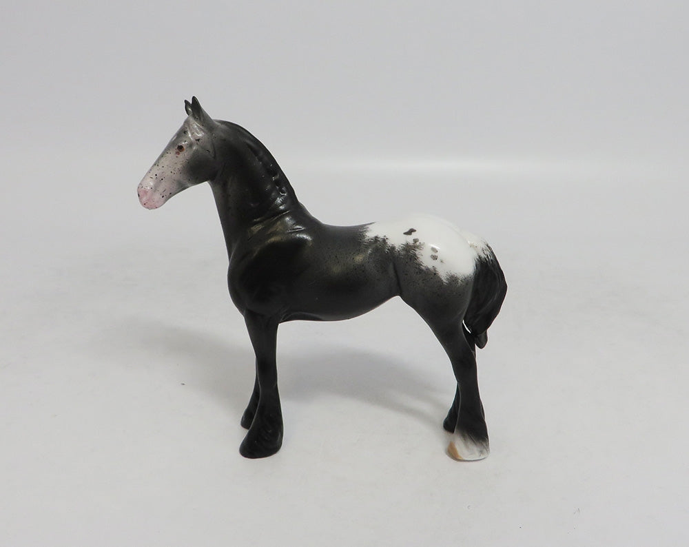 RAWLING - OOAK BLACK APPALOOSA DRAFT CHIP LHS 2018