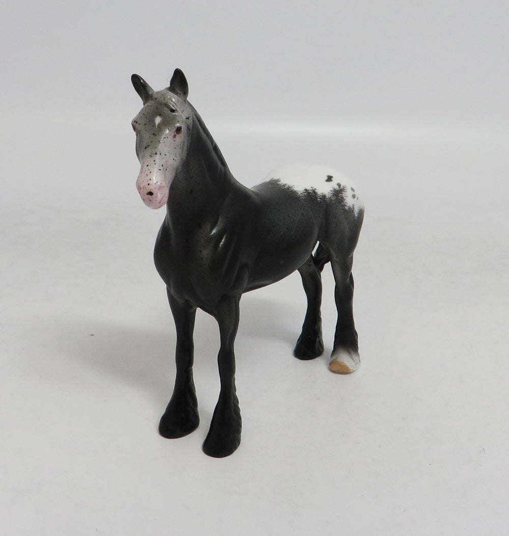 RAWLING - OOAK BLACK APPALOOSA DRAFT CHIP LHS 2018