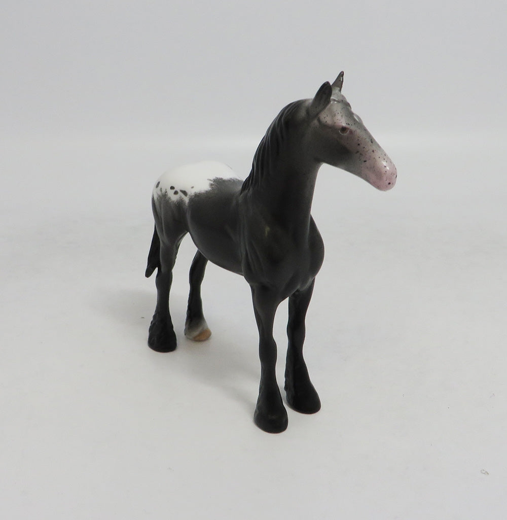 RAWLING - OOAK BLACK APPALOOSA DRAFT CHIP LHS 2018