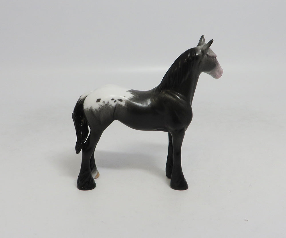 RAWLING - OOAK BLACK APPALOOSA DRAFT CHIP LHS 2018
