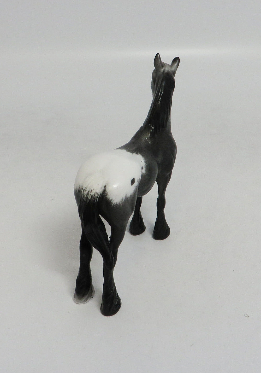 RAWLING - OOAK BLACK APPALOOSA DRAFT CHIP LHS 2018