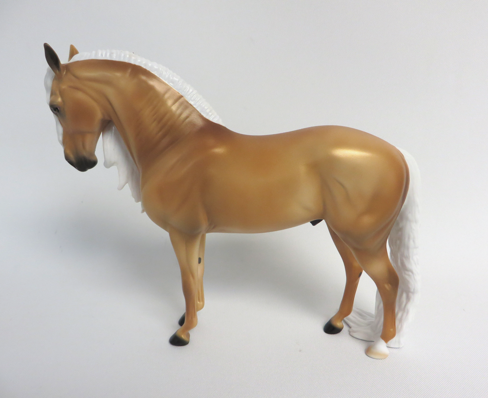 SPANISH FLAME-LE-15 GOLDEN PALOMINO ANDALUSIAN MW 19/EA
