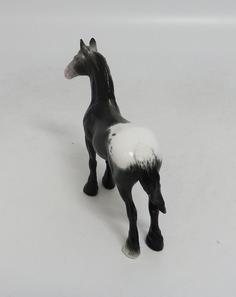 RAWLING - OOAK BLACK APPALOOSA DRAFT CHIP LHS 2018