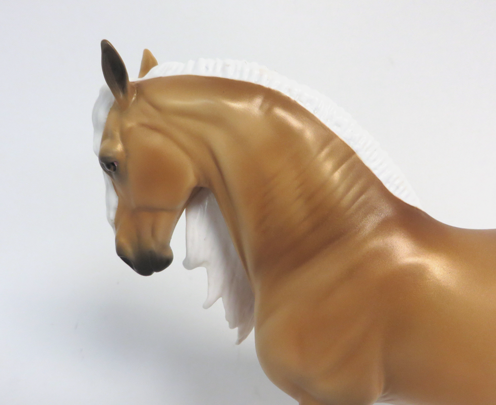 SPANISH FLAME-LE-15 GOLDEN PALOMINO ANDALUSIAN MW 19/EA