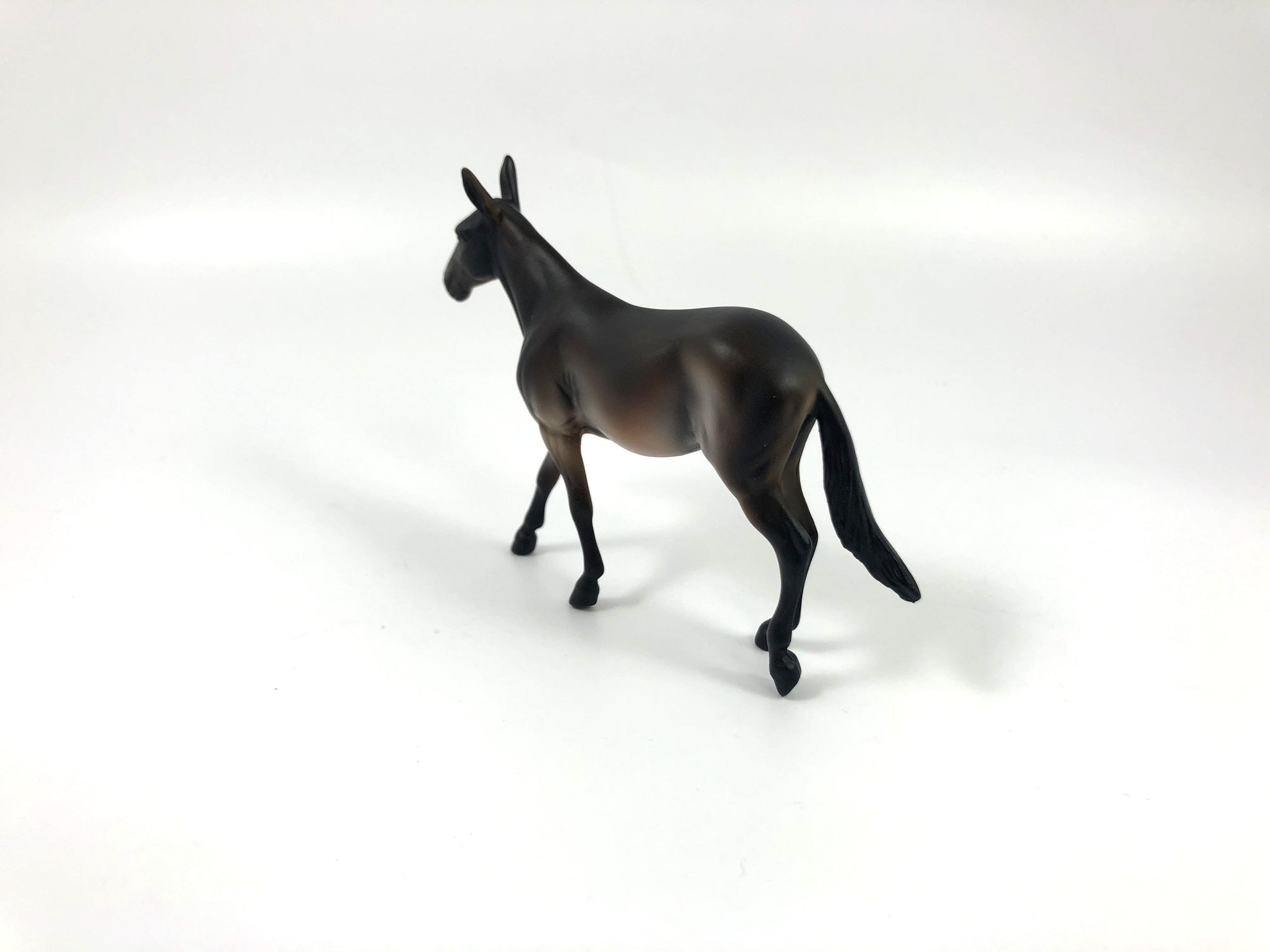 FORBES-OOAK BAY MULE CHIP SHCF19