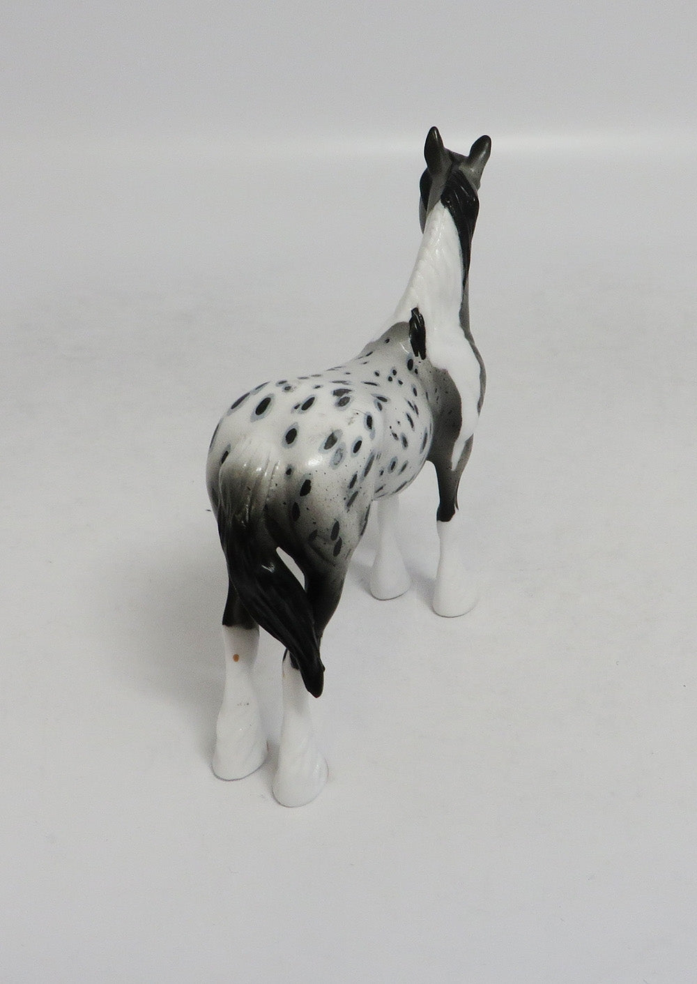 DAY LILY- OOAK CUSTOM APPALOOSA STANDING DRAFT CHIP 9/14/2018