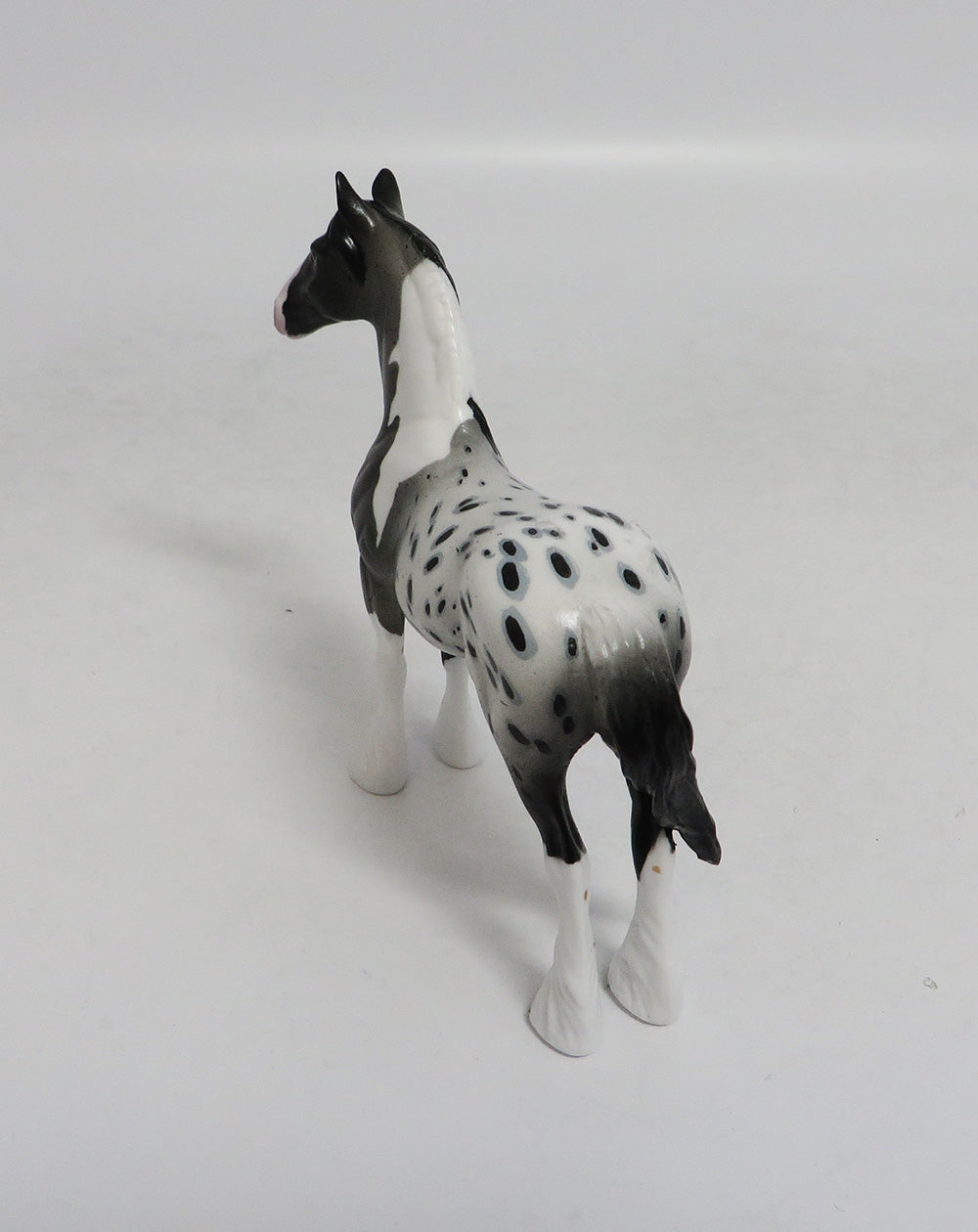 DAY LILY- OOAK CUSTOM APPALOOSA STANDING DRAFT CHIP 9/14/2018