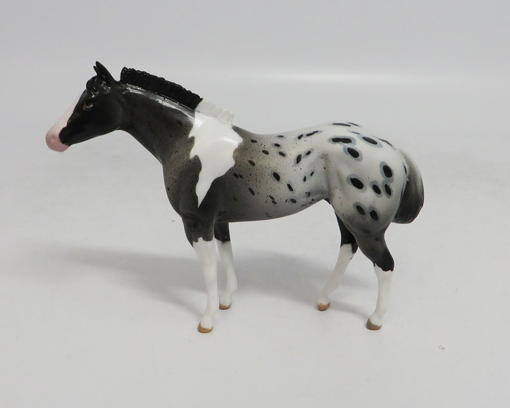 TRUST FUND- OOAK APPALOOSA WEANLING CHIP 9/14/2018