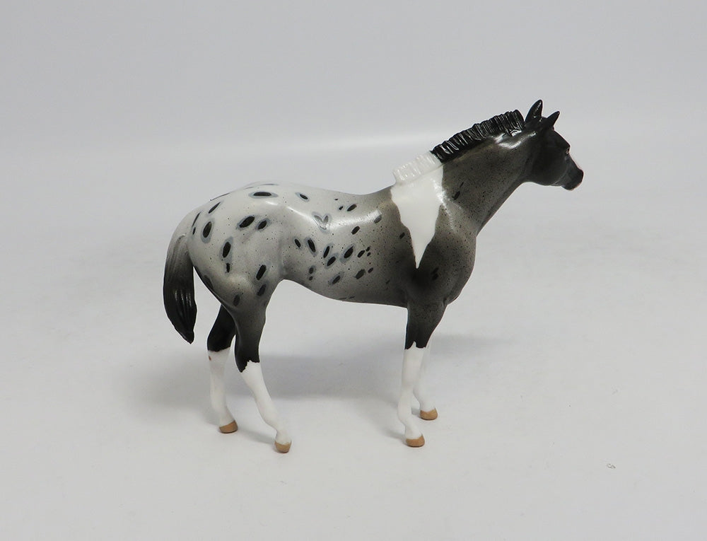 TRUST FUND- OOAK APPALOOSA WEANLING CHIP 9/14/2018