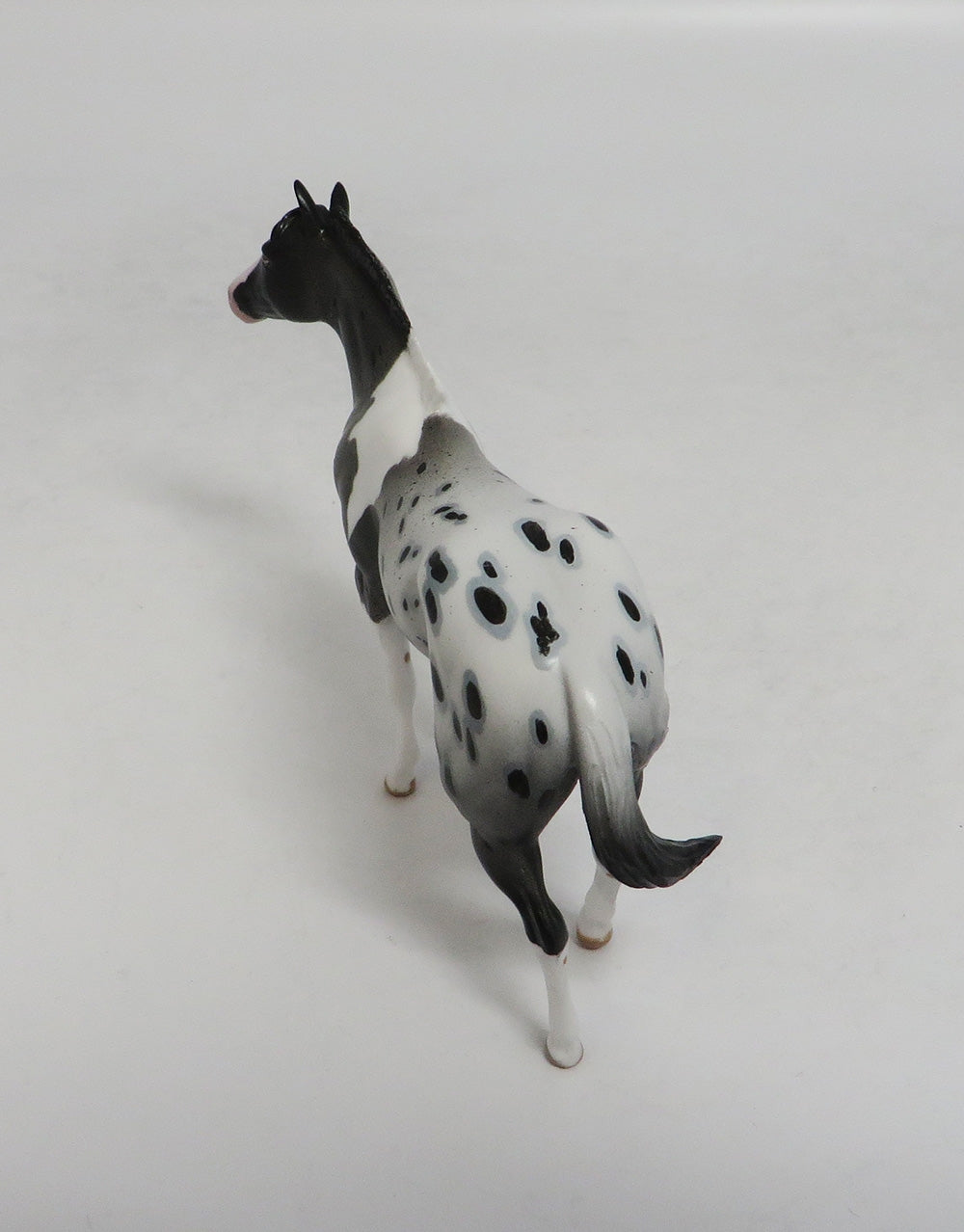 TRUST FUND- OOAK APPALOOSA WEANLING CHIP 9/14/2018