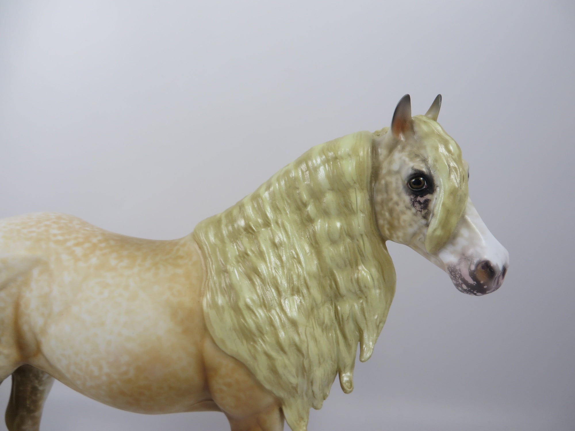 GOLDEN DOODLE-OOAK LIGHT CHESTNUT ISH MODEL HORSE BY AL 8/30/19