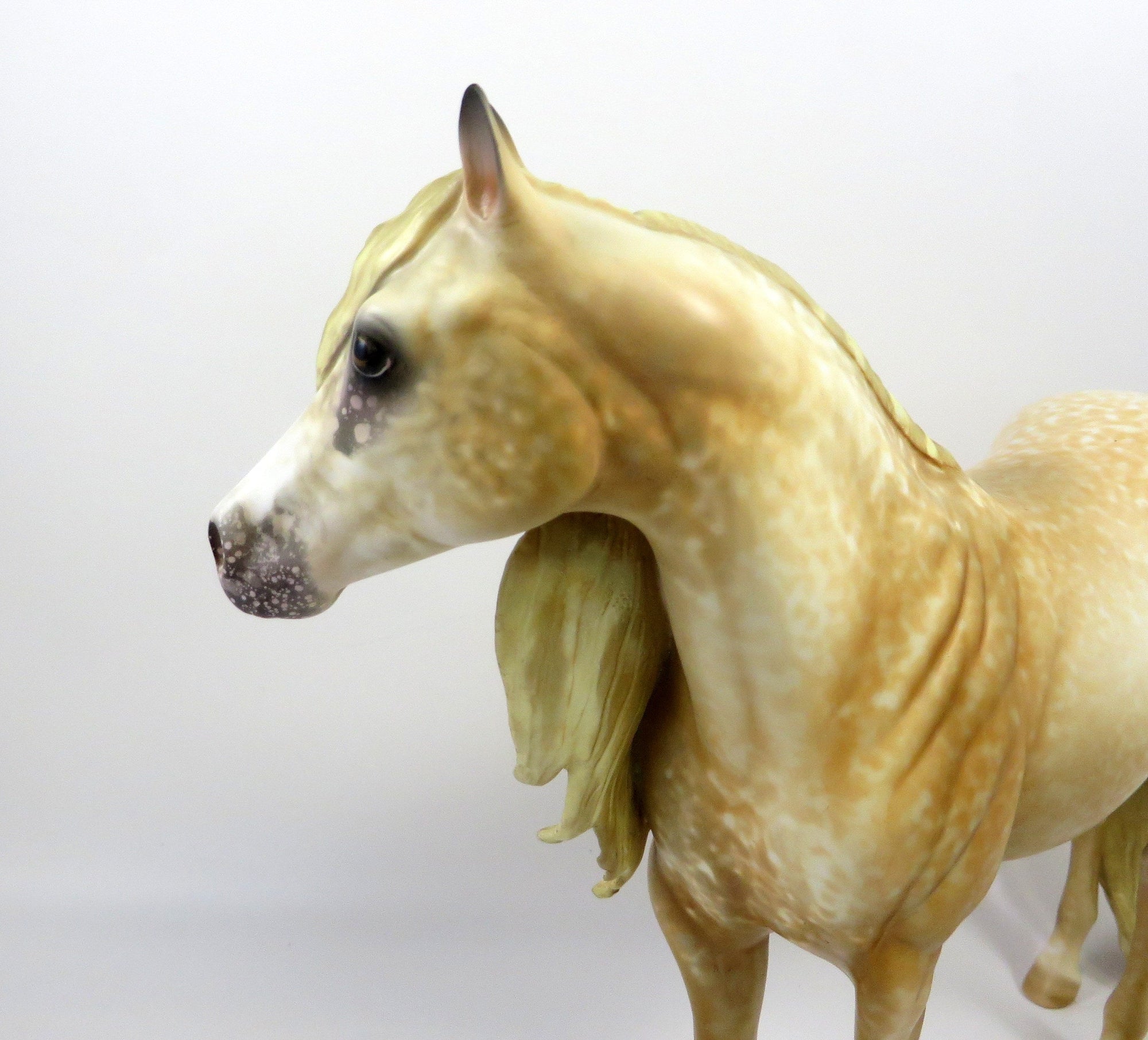 GOLDEN DOODLE-OOAK LIGHT CHESTNUT ISH MODEL HORSE BY AL 8/30/19