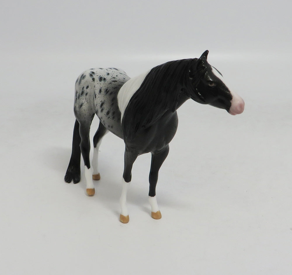 MAGNUM- OOAK PINTALOOSA CHIP BY AUDREY DIXON LHS 2018