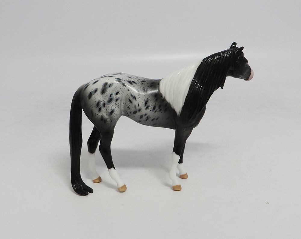 MAGNUM- OOAK PINTALOOSA CHIP BY AUDREY DIXON LHS 2018