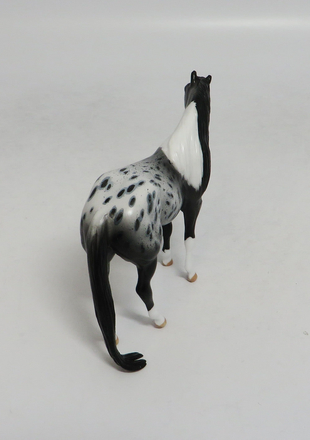 MAGNUM- OOAK PINTALOOSA CHIP BY AUDREY DIXON LHS 2018